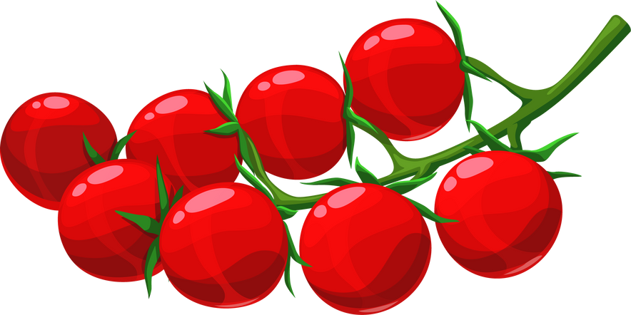 Ripe tomato cherry bunch, vector vegetables branch